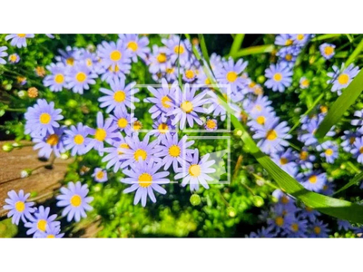 Inmueble en , Tarragona