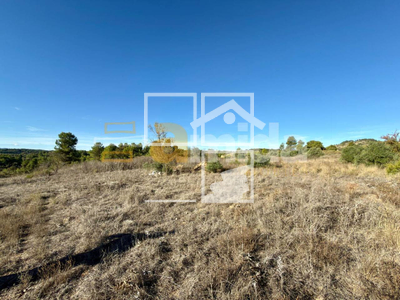 Local en Vinaixa Lleida