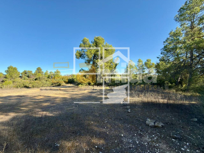 Local en Vinaixa Lleida