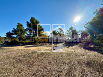 Local en Vinaixa Lleida