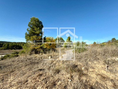 Local en Vinaixa Lleida