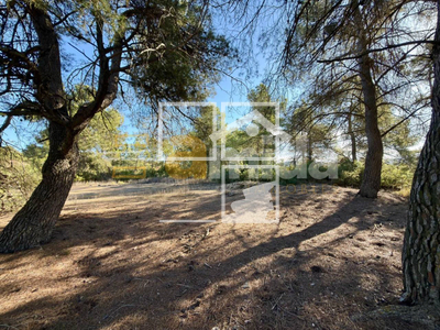 Local en Vinaixa Lleida